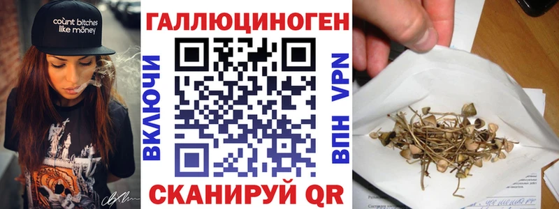 hydra   Полярный  Псилоцибиновые грибы Cubensis  хочу  